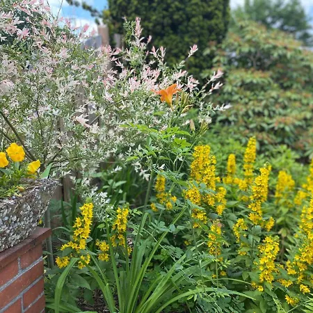 Konukevi Haus Heideblick Undeloh