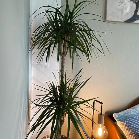 Haus Heideblick Konukevi 3*